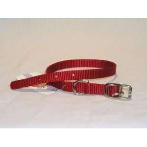   Hamilton Deluxe 3/8 S/T Nylon Dog Collar, Red, 14