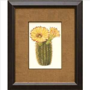  Phoenix Galleries OWP56743 Exotic Cactus III Framed Print 