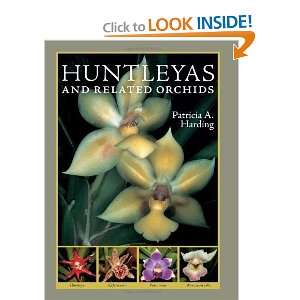  Huntleyas and Related Orchids [Hardcover] Patricia A 
