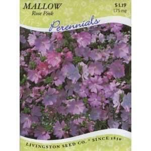 Mallow   Malva Moschata Rose Pink (Perennial) Patio, Lawn 