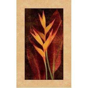  Heliconia Poster Print: Home & Kitchen