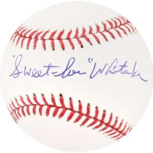  Lou Whitaker Autographed Baseball  Details Sweet 
