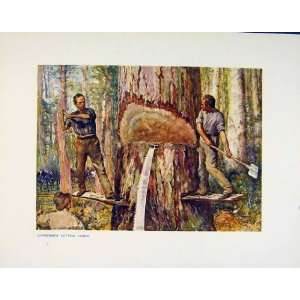  Antique Print Fine Art Color Lumermen Cutting Timber