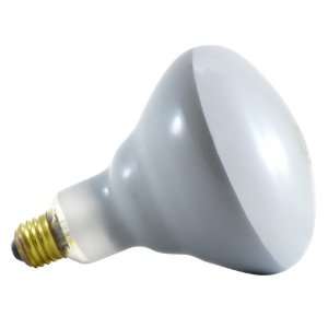  Incandescent 150 Watt Medium BR38 Flood light Bulb: Home Improvement