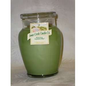  Lime Basil Scented Candle By Swan Creek Candle Co 21 Oz 