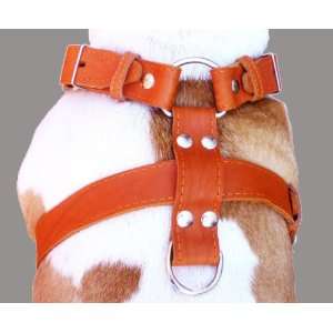   Leather Dog Harness Large. 26 30 Chest, 1.5 Wide: Pet Supplies