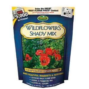   (Catalog Category FLOWER SEEDS / WILDFLOWERS) Patio, Lawn & Garden