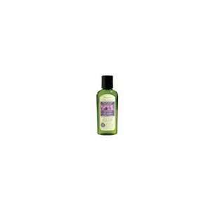 Avalon Travel Refill Lavender Shampoo ( 24x2 OZ)  Grocery 