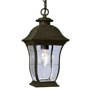  Trans Globe 4974 WB Classic   One Light Outdoor Hanging 