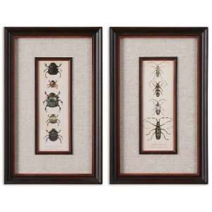 Uttermost 22 Inch Bug Collection I Ii (Set of 2) Prints Hanging Wall 