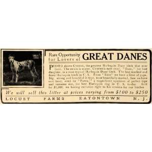  1907 Ad Great Dane Dog Breeder Locust Farms Eatontown 