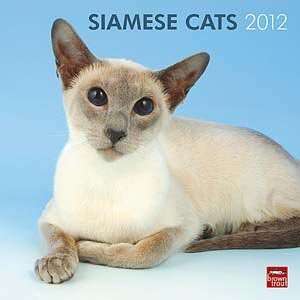  2012 Siamese Cats Calendar