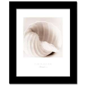  Atlantis Iv Sea Shell Beach Decor Conch Framed Print: Home 