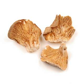 Dried Oyster Mushrooms   Multiple Sizes Available  