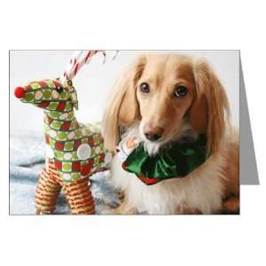  Christmas Pets Greeting Cards Pk of 10 by  