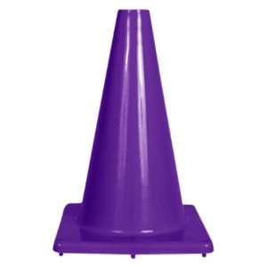  Champro Heavy Weight Collapsible Cones PURPLE 6 Sports 