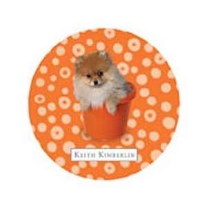  Pomeranian in Orange Pot Coaster Set