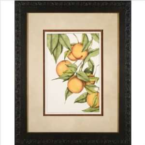 Phoenix Galleries OWP17282 Tropical Fruit IV Framed Print  