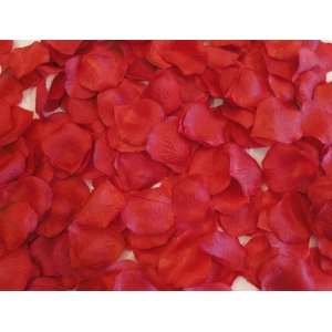   : Tanday Red 1000 Premium Pre Cut Silk Rose Petals.: Everything Else