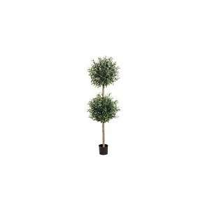  5.5 Natural Trunk Ball Olive Topiary: Home & Kitchen