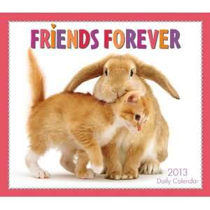  Friends Forever 2013 Daily Box Calendar