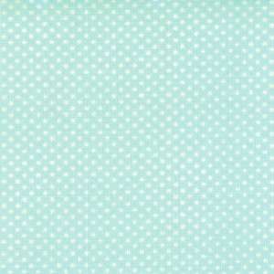   Fabric Layer Cake 10 Squares by Bonnie & Camille Red Aqua Gray  
