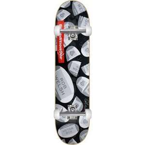  Expedition Welsh Therapy Complete Skateboard   8.25 W/Raw 
