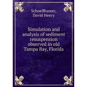   observed in old Tampa Bay, Florida: David Henry Schoellhamer: Books