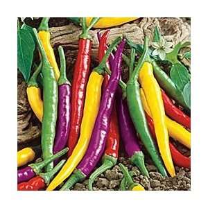 Chili Pepper Cayenne Blend, they keep their color when dried. 20 seeds 