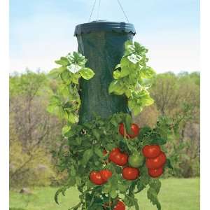  Upside Down Hanging Tomato Plus Planter Patio, Lawn 
