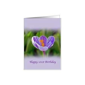  101st Birthday, Religious, Crocus Flower Card: Toys 
