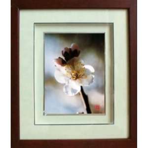  Framed Chinese Silk Embroidery: Plum Blossom 11x12.6 