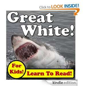 Great White Sharks While Learning To Read   Great White Sharks Photos 