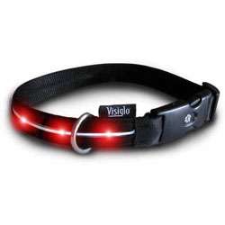 Medium Visiglo LED Dog Collar with Batteries  