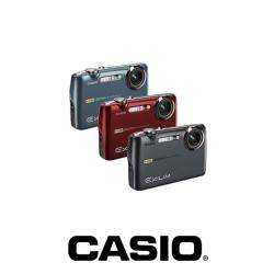 Casio Exilim EX FS10 9.1MP Digital Camera  