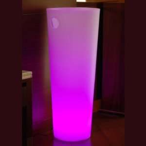   Rechargeable LED Ice Bucket with Color Change Remote: Home & Kitchen