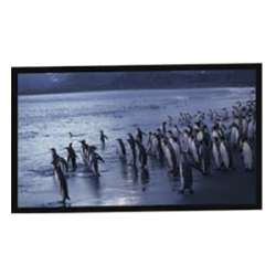 AccuScreens Fixed Frame Projection Screen  Overstock