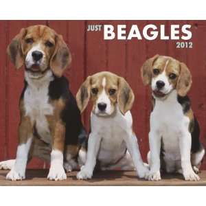  Beagles 2012 Wall Calendar
