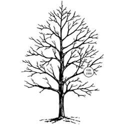Judikins Winter Tree Rubber Stamp  