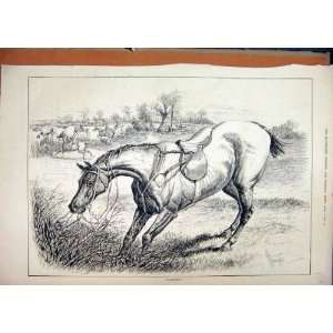  Horse Rider Fallen 1880 Jumping Country Scene: Home 