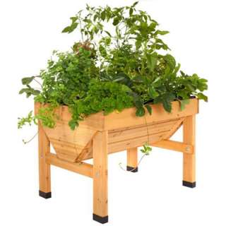 Small VegTrug For Vegetable, Plant and Herb Container Gardening