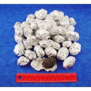 Small Owl Pellets, Pack of 60, with 3 Charts  Industrial 