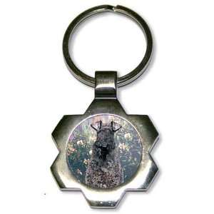  Kerry Blue Terrier Star Key Chain: Office Products