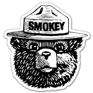  Smokey the Bear Firefighting WILDFIRE sticker 4 x 4 Automotive