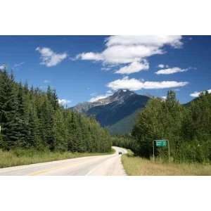 Mount Revelstoke National Park of Canada   Peel and Stick Wall Decal 