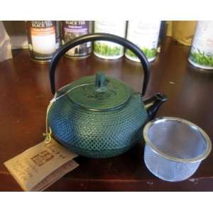   16 oz. Green Tetsubin Cast Iron Teapot with Infuser