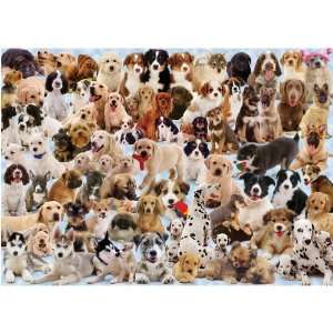   Dogs Galore!   1000 Pieces Jigsaw Puzzle By Ravensburger: Toys & Games