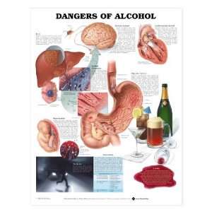  Alcoholism   Dangers of Alcohol Chart Industrial 