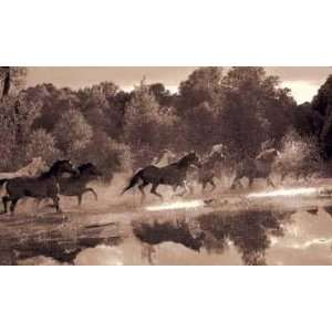  Horse Crossing    Print