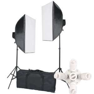  Portable Studio Lighting Continuous 2 Lights Kit 450W Soft 